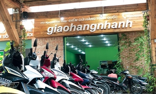 Seedcom thận trọng gieo giống