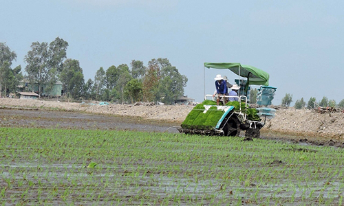 Xây dựng giá trị thương hiệu hạt gạo Việt Nam (Kỳ cuối)